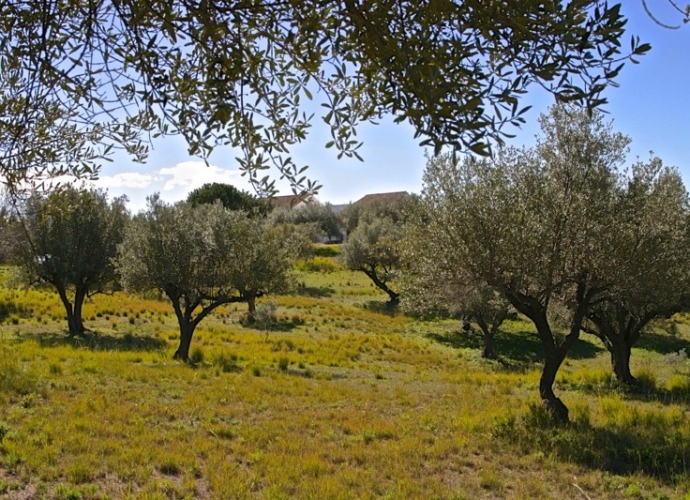 Villa indépendante situé à Elviria - 10