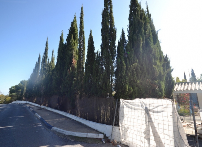 Plot Land en Sierra Blanca - 2