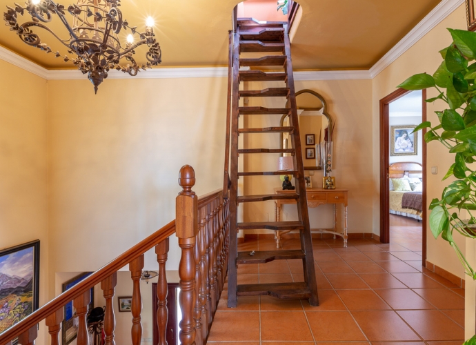 Villa indépendante situé à Marbella Apartamentos en el centro de Marbella  - 7