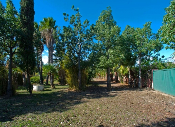 Villa Finca situé à Estepona - 6