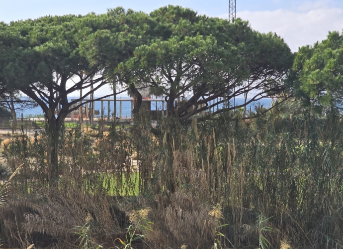 Appartement milieu d’Etage situé à Los Monteros - 2