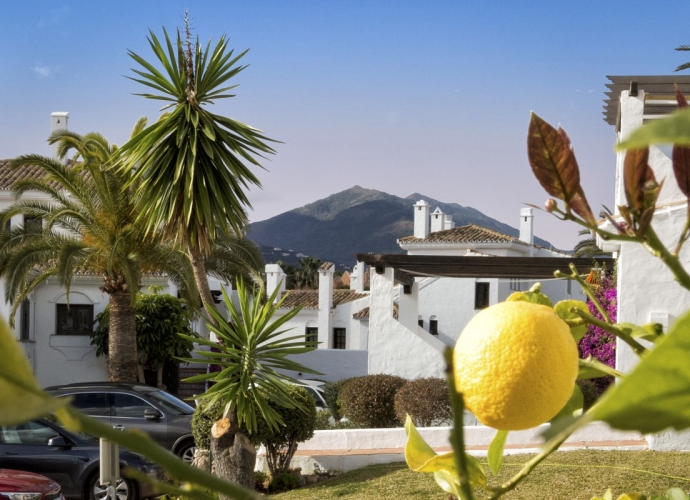 Appartement  rez de chaussée situé à Nueva Andalucía Aldea Blanca  - 6