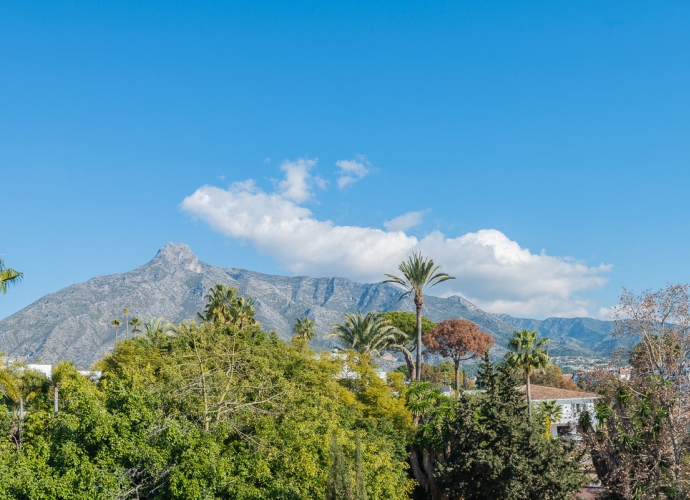 Apartamento Planta Media en The Golden Mile - 8