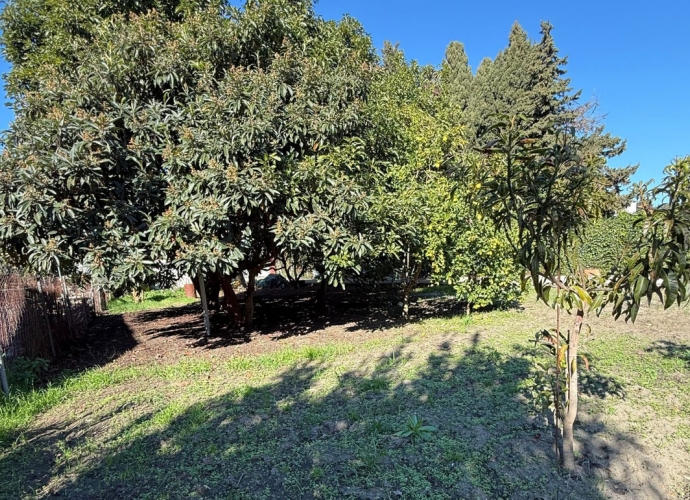 Plot Land in San Pedro de Alcántara - 10