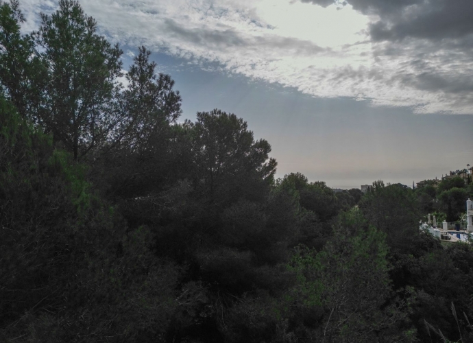 Plot Residential in Elviria - 10