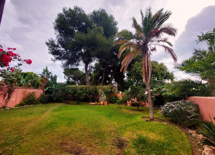 Villa Detached in Cancelada - 10