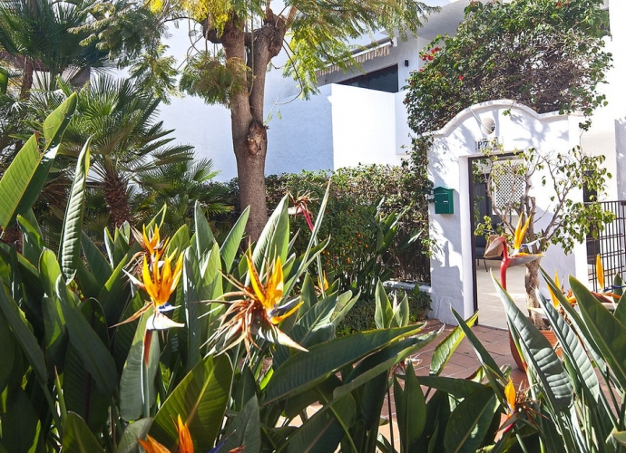 Appartement  rez de chaussée situé à Nueva Andalucía La Maestranza  - 3