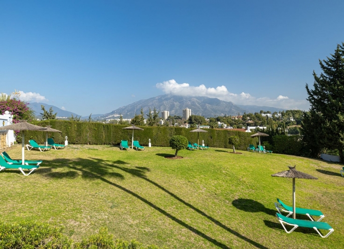 Apartamento Planta Baja en Nueva Andalucía - 2