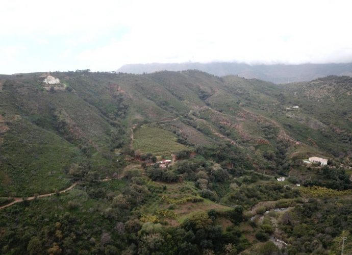 Plot Land in Estepona - 1