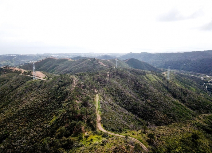Plot Land in Estepona - 5