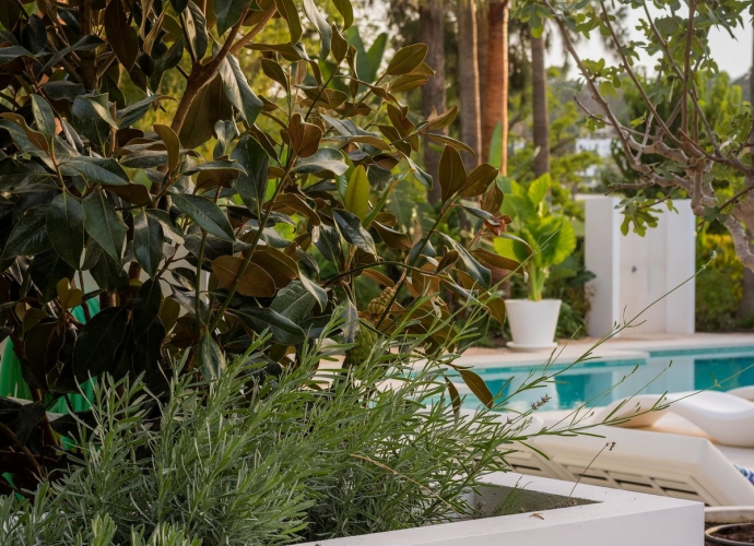 Villa Independiente en Nueva Andalucía Villas en Nueva Andalucia  - 8