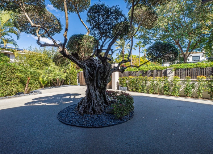 Villa Detached in Guadalmina Baja - 7