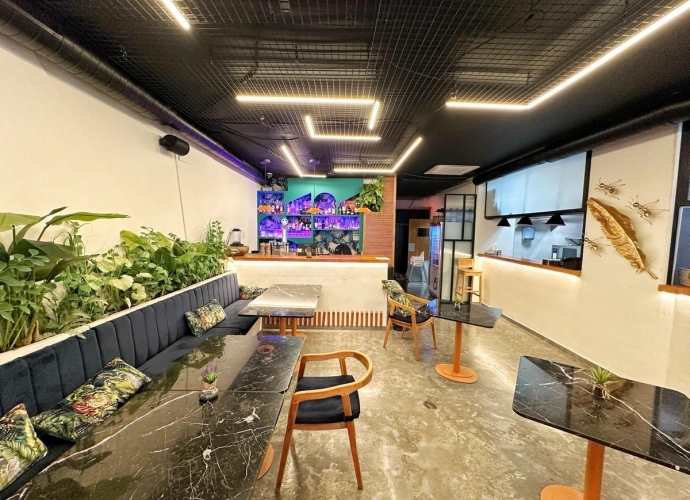 Commercial Restaurant in San Pedro de Alcántara - 6