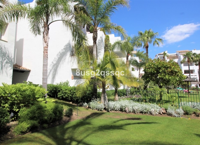 Apartment Ground Floor in Costalita - 8