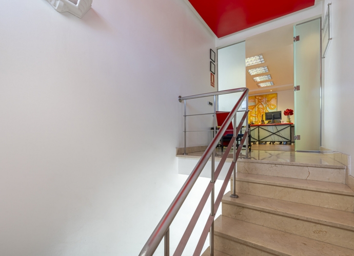 Commercial Business en Guadalmina Alta - 6