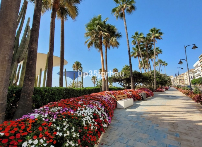 Apartamento Planta Media en Estepona - 7