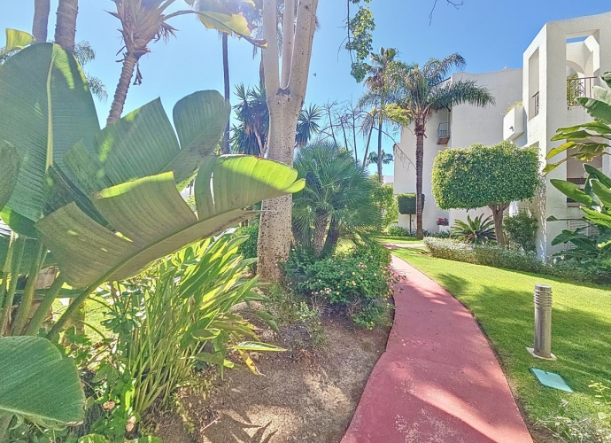Apartment Ground Floor in Costalita - 10