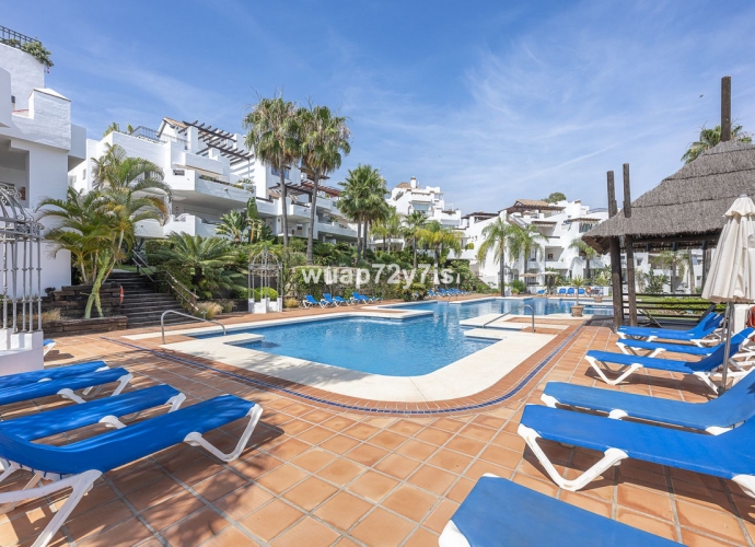 Apartamento Planta Baja en Nueva Andalucía - 3