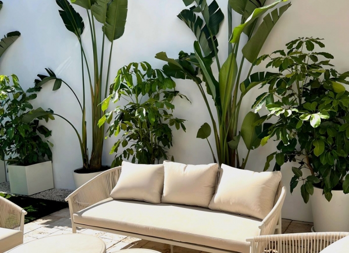 Apartamento Planta Baja en Nueva Andalucía - 2