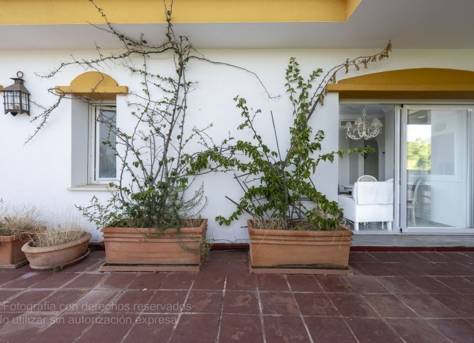 Apartment Penthouse in Puerto Banús - 10