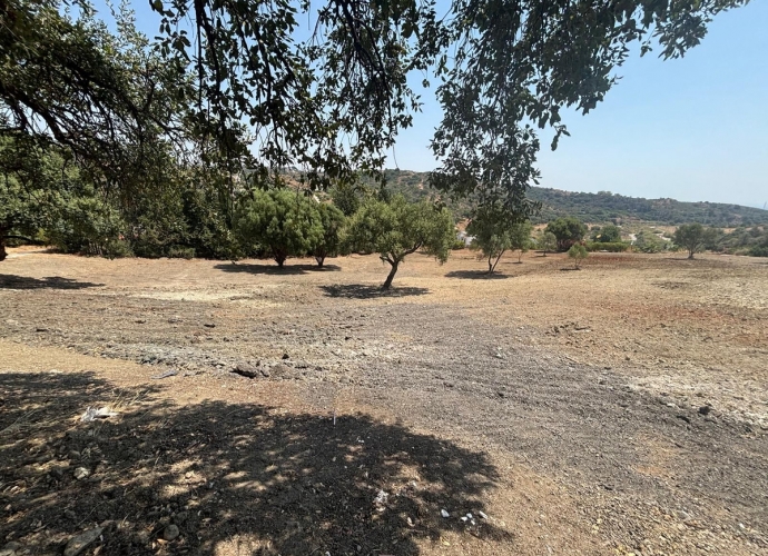 Parcela Residencial en Estepona - 6