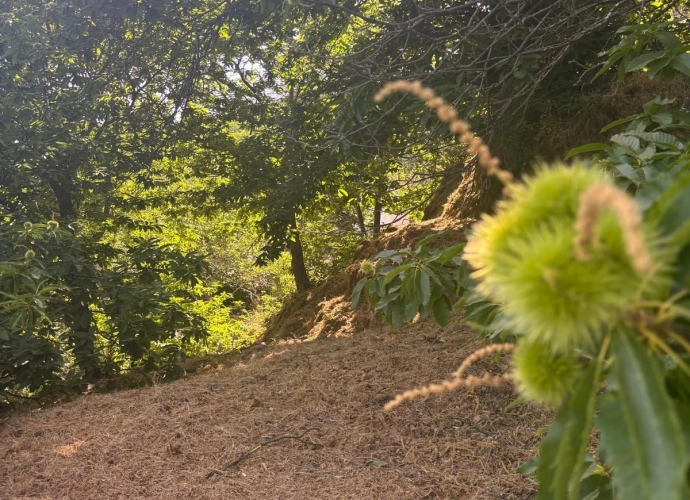 Parcela Residencial en Estepona - 10