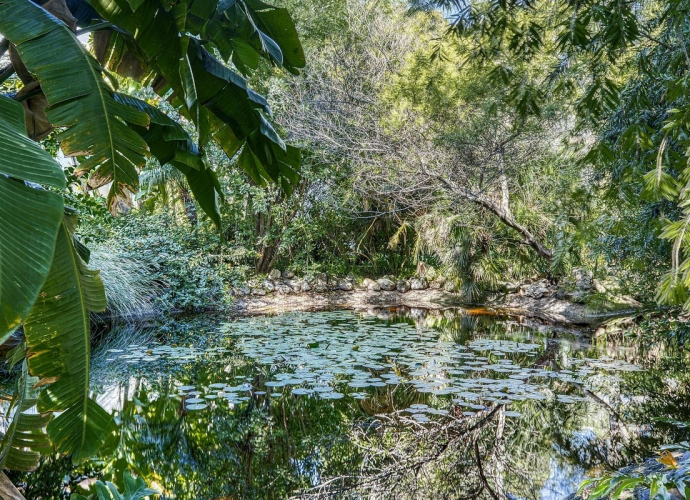 Apartment Penthouse Duplex in Guadalmina Baja Alhambra del Golf  - 4