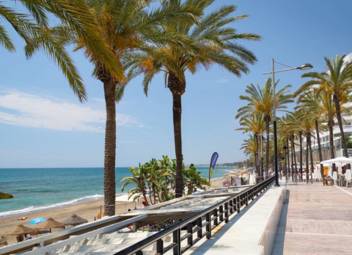 Commercial  in San Pedro de Alcántara - 4