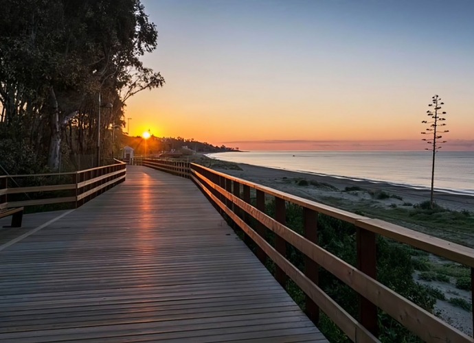 Commercial  in San Pedro de Alcántara - 6