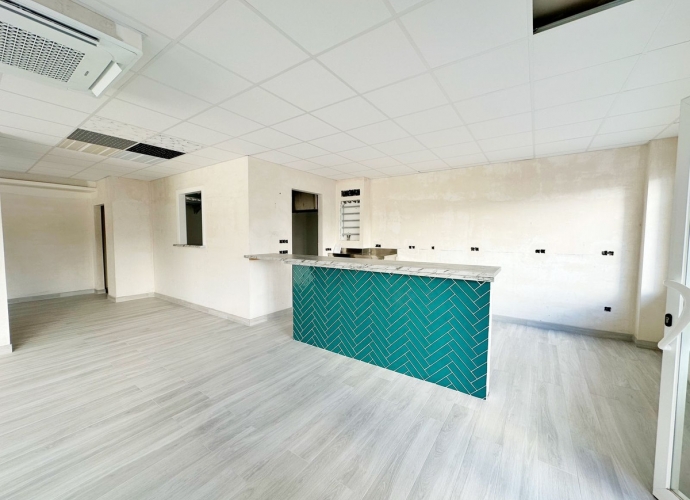 Commercial Bar in San Pedro de Alcántara - 5