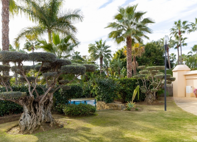 Apartamento Planta Baja en Puerto Banús - 4
