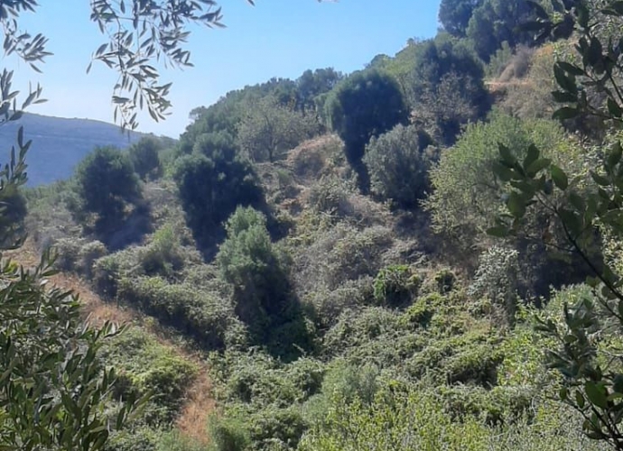 Plot Land in Marbella - 2