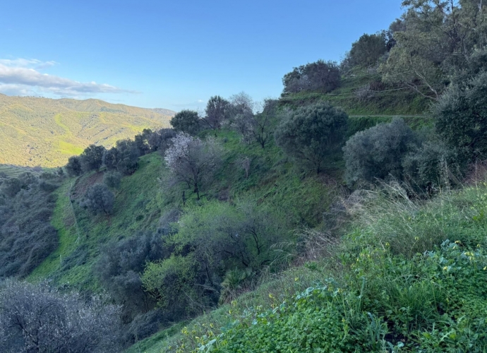 Plot Land in Marbella - 6