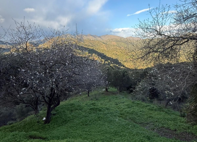 Plot Land in Marbella - 8