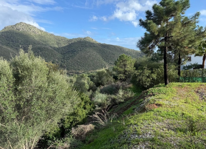 Plot Residential in Benahavís - 6
