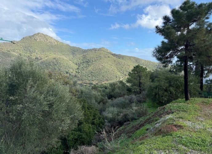 Plot Residential in Benahavís - 8