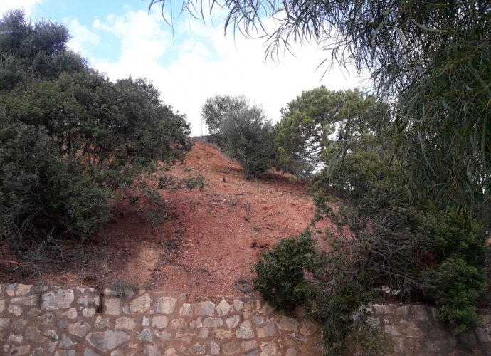 Parcela Residencial en Las Chapas - 2