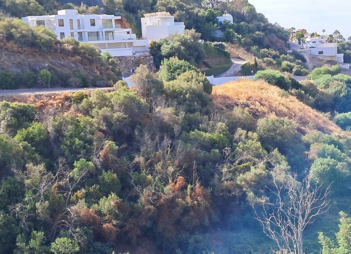 Parcela Residencial en Marbella - 3