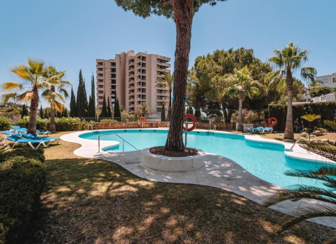 Studio Middle Floor situé à Río Real - 2