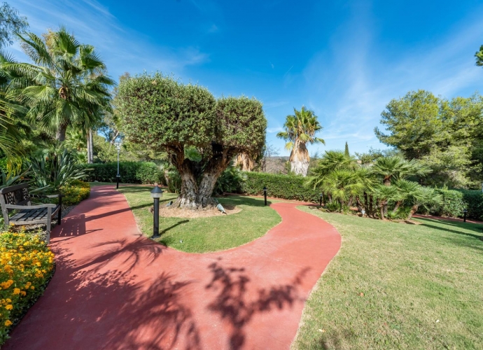 Studio Middle Floor situé à Río Real - 10