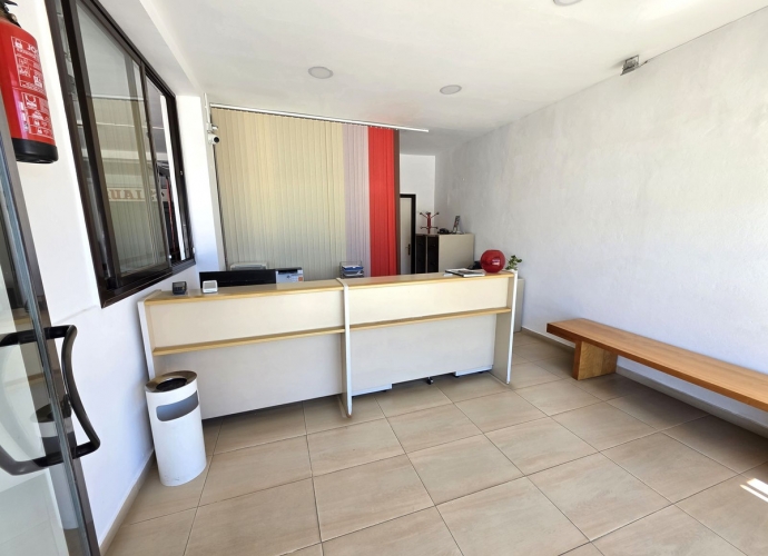 Commercial Business en San Pedro de Alcántara - 4