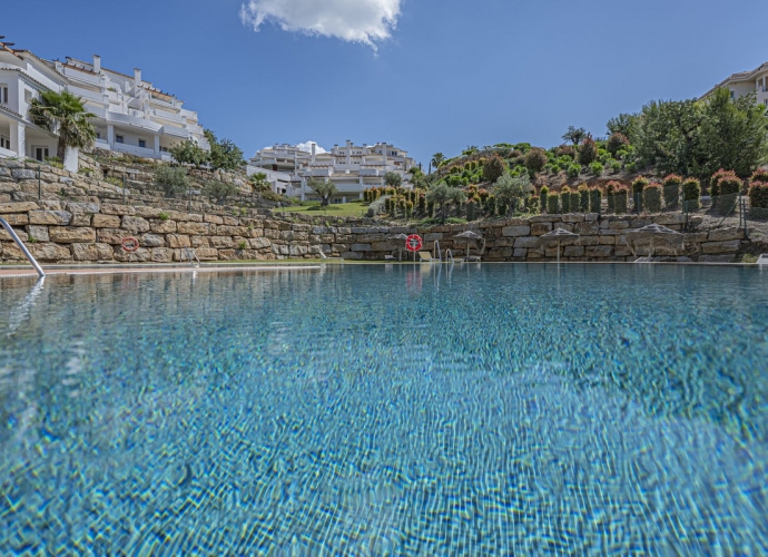 Apartamento Planta Baja en Nueva Andalucía - 7