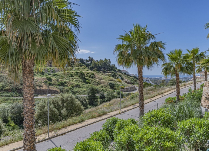 Apartamento Planta Baja en Nueva Andalucía - 8