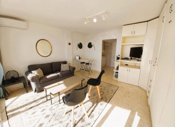 Studio Penthouse en Las Chapas - 7