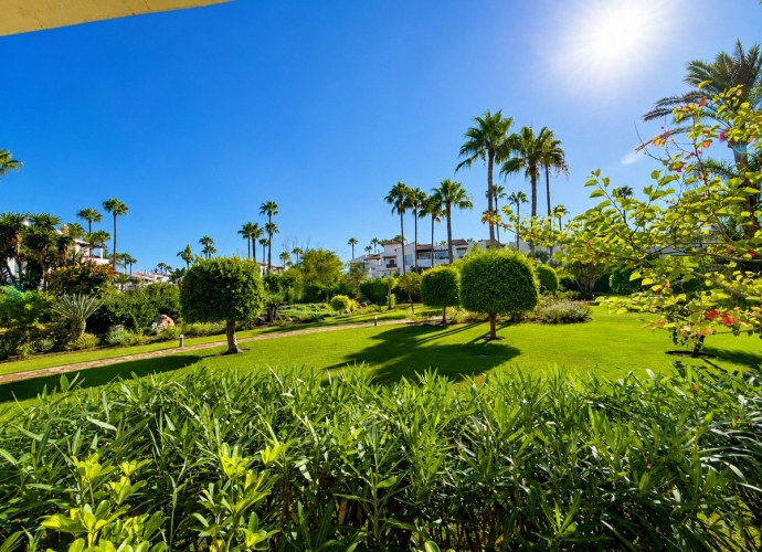 Apartamento Planta Baja en Costalita - 9