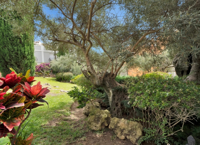 Maison de Ville situé à Bahía de Marbella - 3