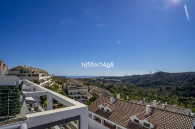 Apartment Penthouse Duplex