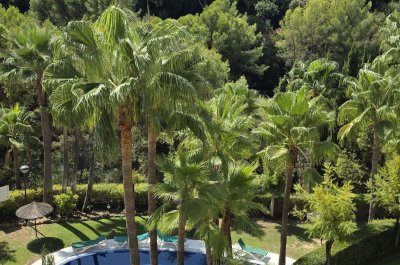 Apartment Middle Floor