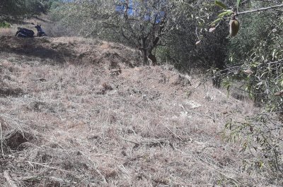 Plot Land