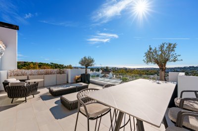 Apartment Penthouse Duplex